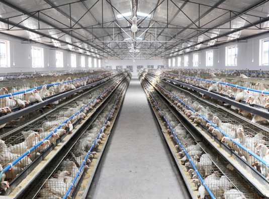 養(yǎng)殖專(zhuān)用氣體報(bào)警器