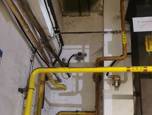 工業(yè)級燃氣泄漏探測儀 工業(yè)級燃氣泄漏探測儀