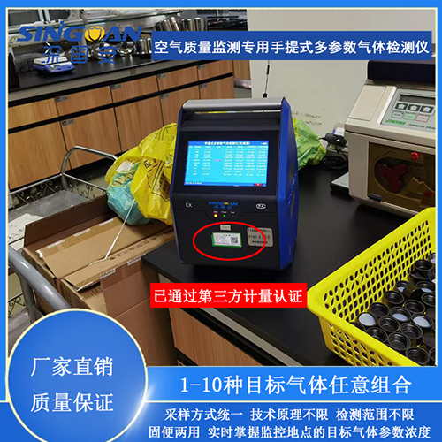 手提式氣體測(cè)定儀