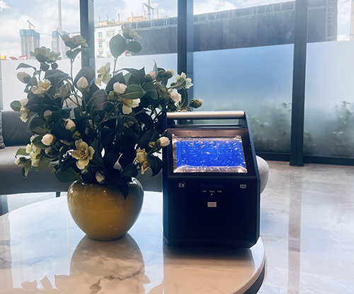 手提式多參數(shù)煙霧氣體分析儀 手提式多參數(shù)煙霧氣體分析儀