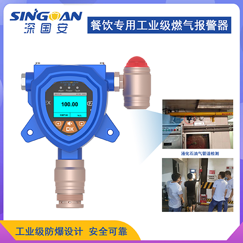 可燃?xì)怏w檢測儀