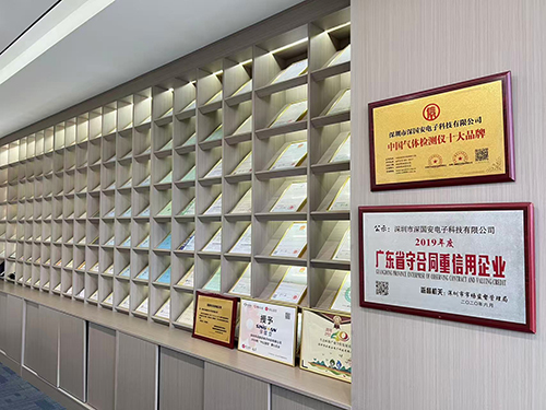 氣體檢測儀十大品牌