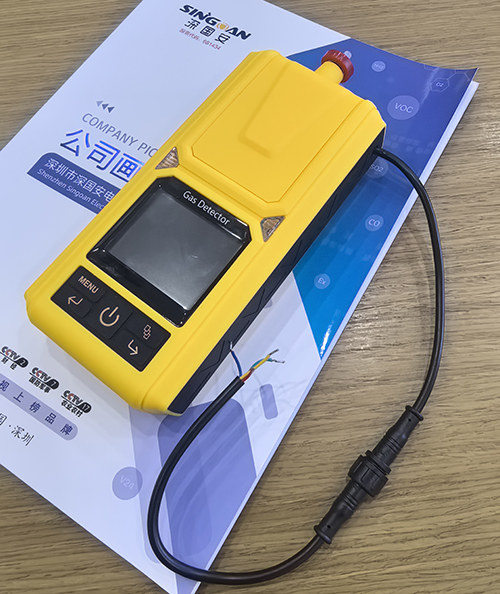 便攜式CD6氣體檢測(cè)儀