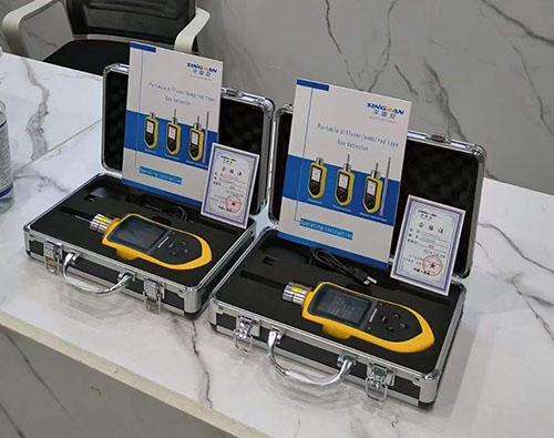 手持探桿式硫酸霧氣體檢測儀