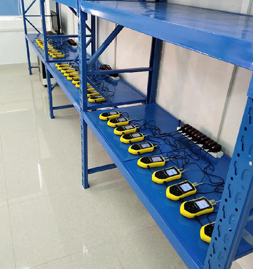 便攜式溴甲烷分析儀