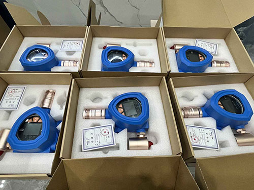 半導(dǎo)體專用氫氣檢測(cè)儀