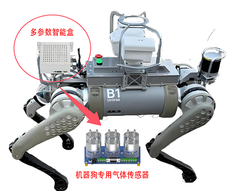 半導(dǎo)體專用H2氫氣傳感器