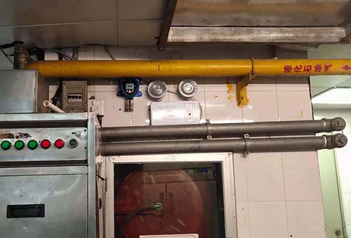 在線式甲烷檢測儀