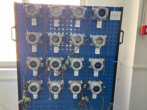 氣體檢測儀生產(chǎn)廠家