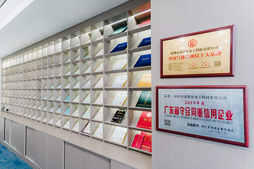 氣體檢測儀生產(chǎn)廠家