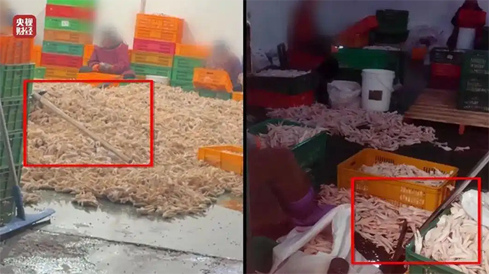 315曝光網(wǎng)紅雞爪